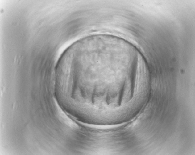 X0000088661522200706221622