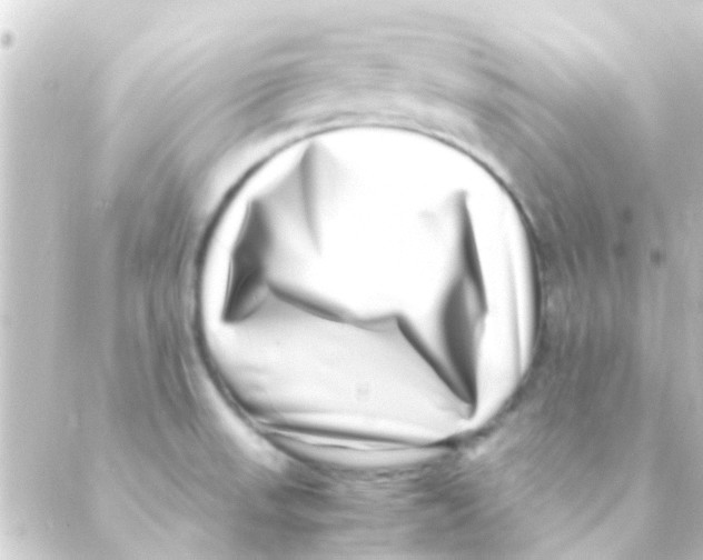 X0000088661523200706221622