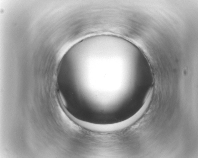 X0000088661524200706221622