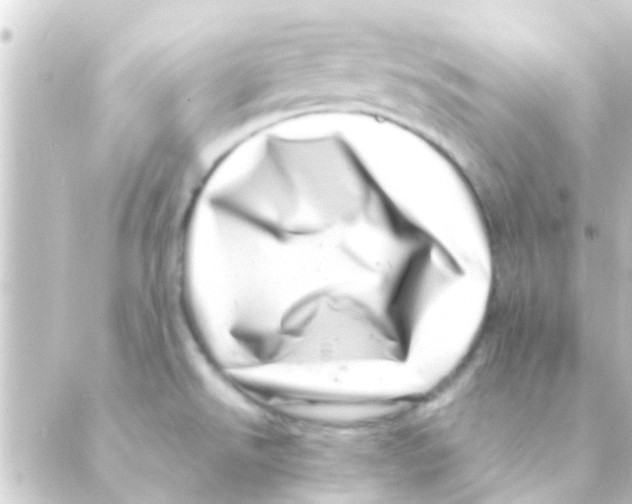 X0000088661526200706221623