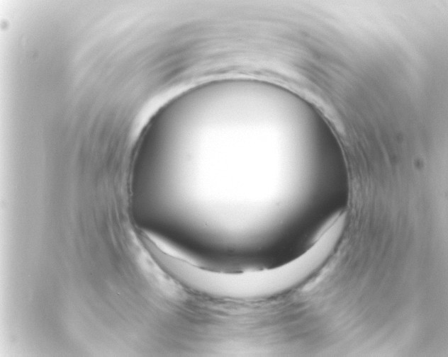 X0000088661530200706221623