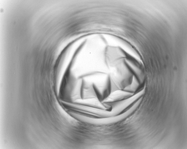 X0000088661531200706221623
