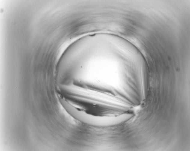 X0000088661532200706221623