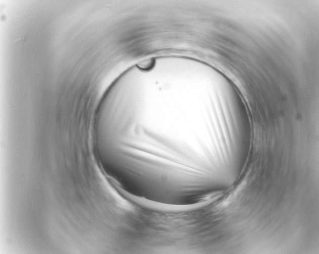 X0000088661533200706221623