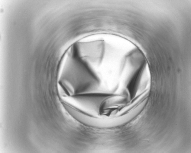 X0000088661534200706221623