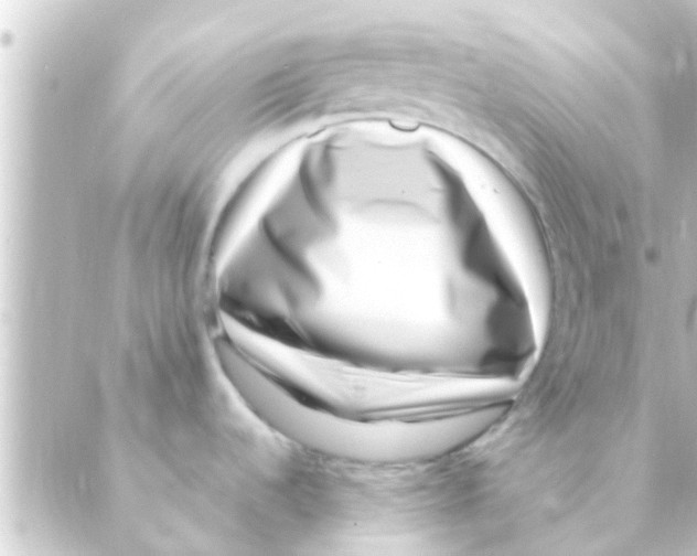 X0000088661536200706221623