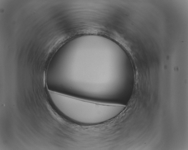 X0000088670013200705311010