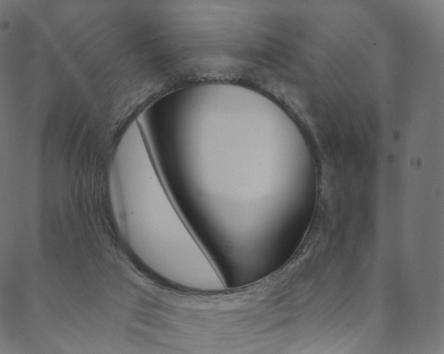 X0000088670017200705311010