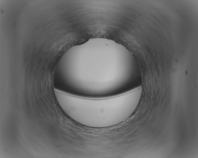 X0000088670037200705311010