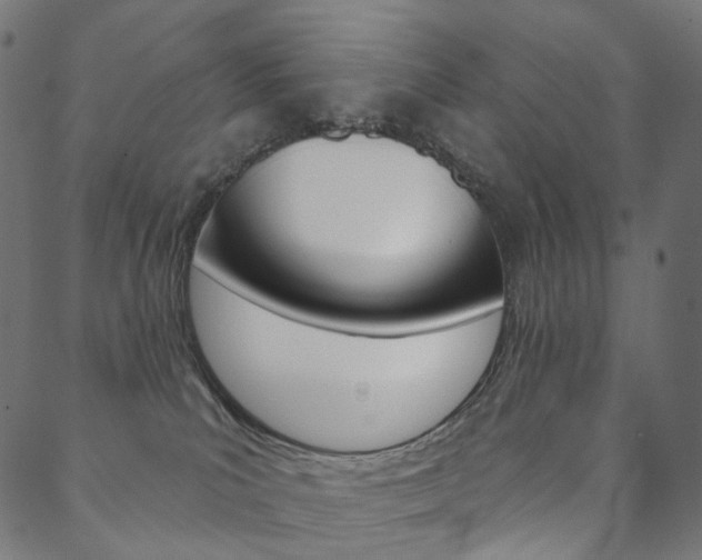 X0000088670039200705311010