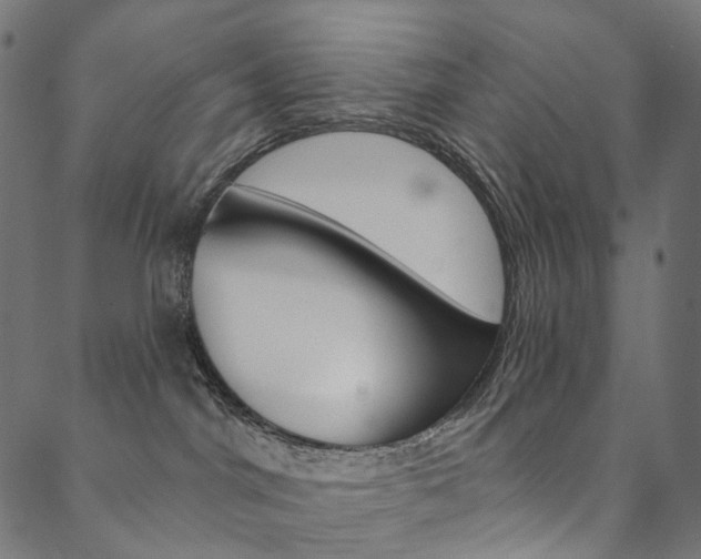 X0000088670044200705311010