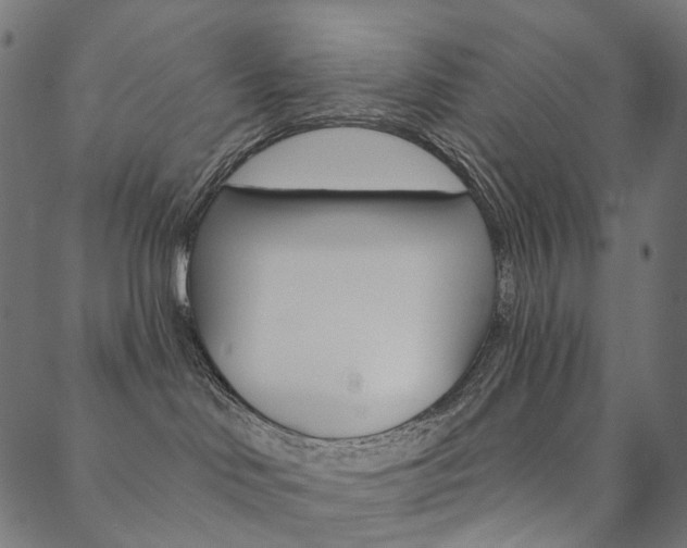 X0000088670046200705311010