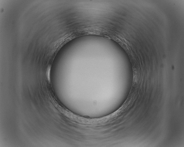 X0000088670047200705311010
