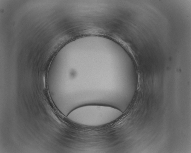 X0000088670061200705311009