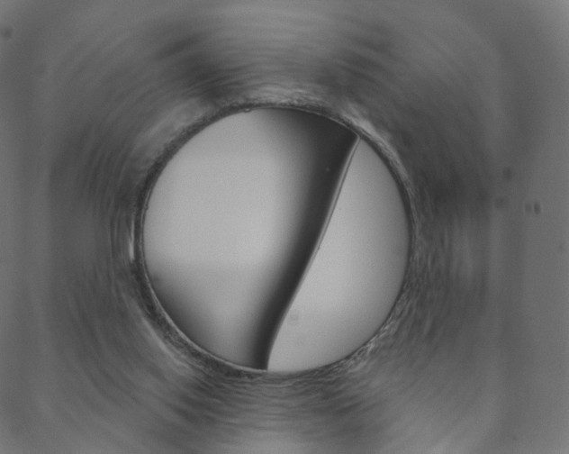 X0000088670062200705311009