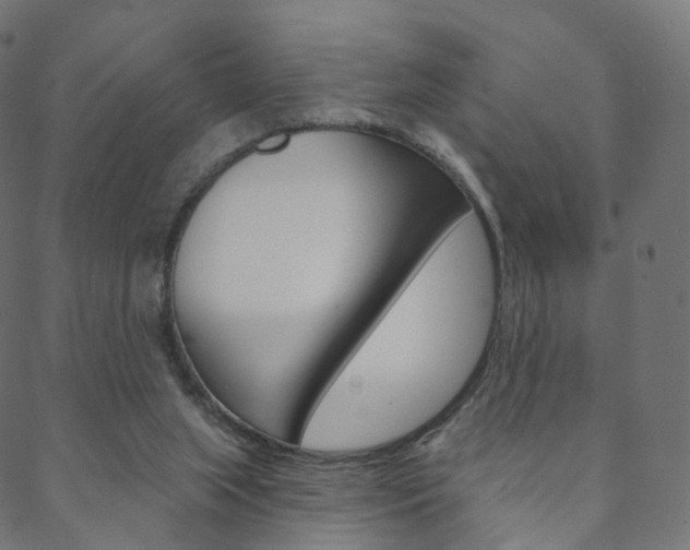X0000088670063200705311009