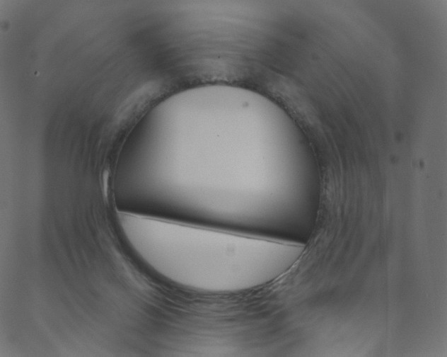 X0000088670070200705311009
