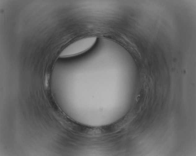 X0000088670075200705311009