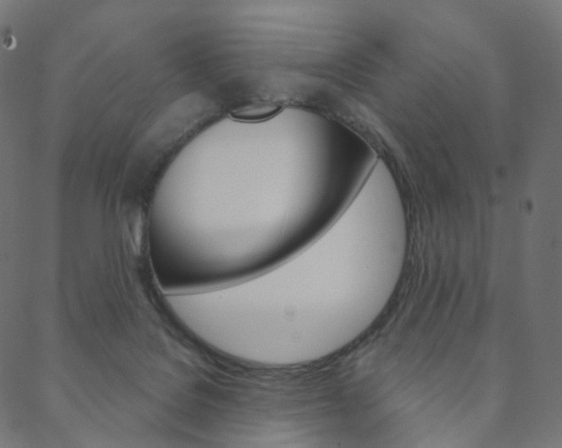 X0000088670076200705311009