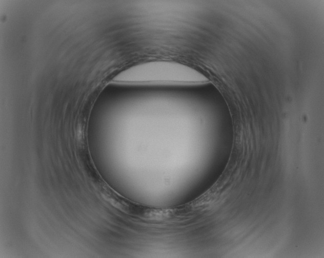 X0000088670084200705311009