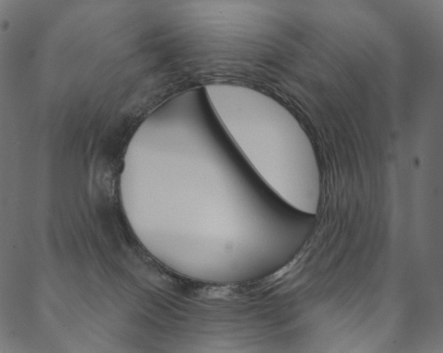 X0000088670086200705311009