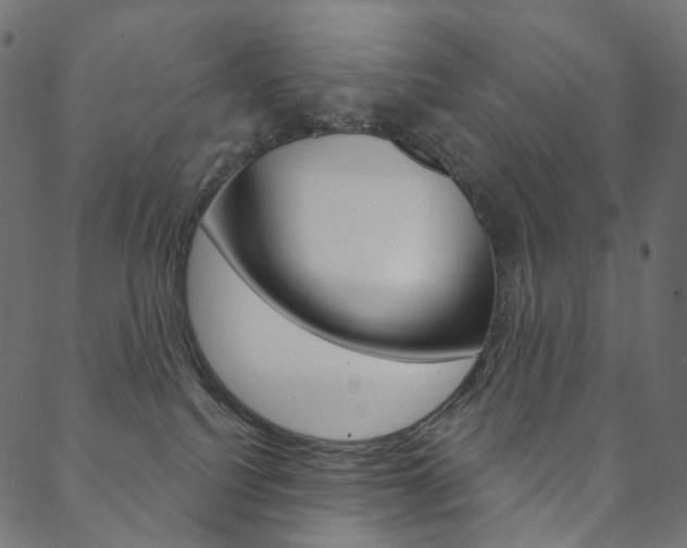 X0000088670088200705311009