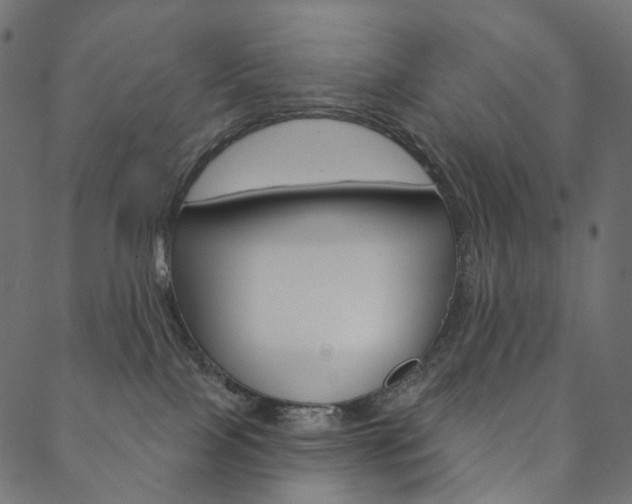 X0000088670089200705311009