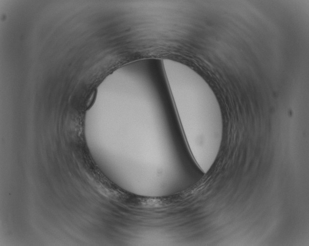 X0000088670091200705311009