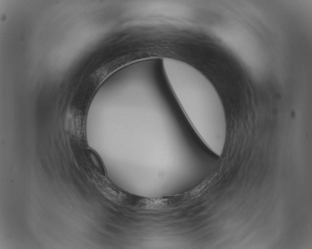 X0000088670093200705311009