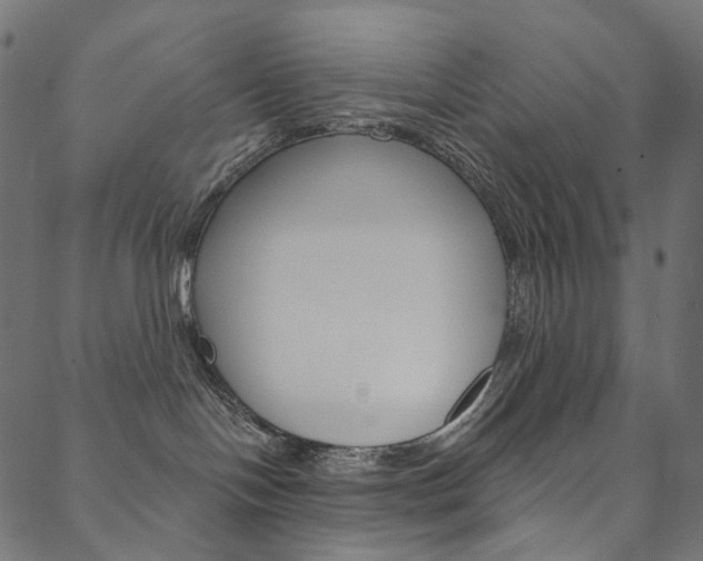 X0000088670094200705311009
