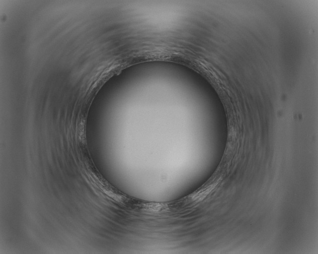 X0000088670096200705311009