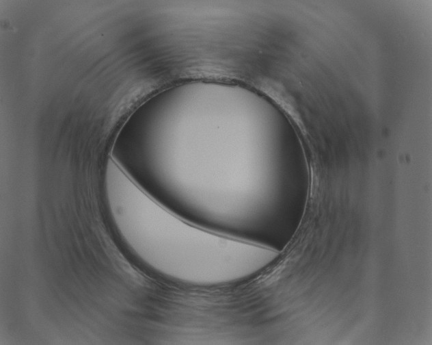 X0000088670109200705311009
