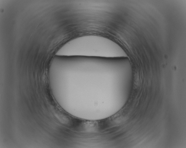 X0000088670126200705311008