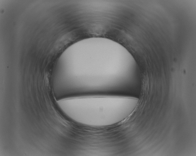 X0000088670128200705311008