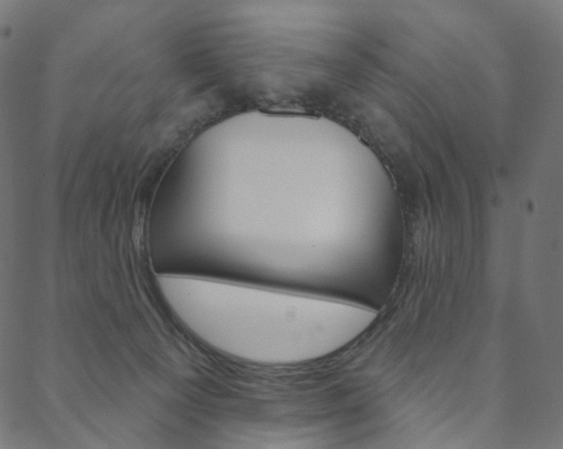 X0000088670129200705311008