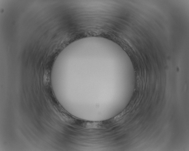X0000088670134200705311008