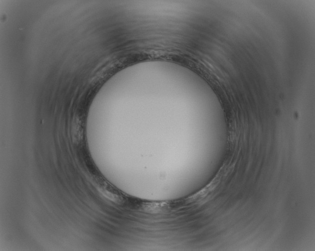 X0000088670136200705311008