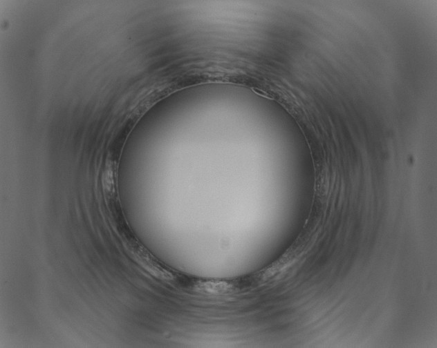 X0000088670137200705311008