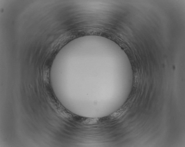 X0000088670138200705311008