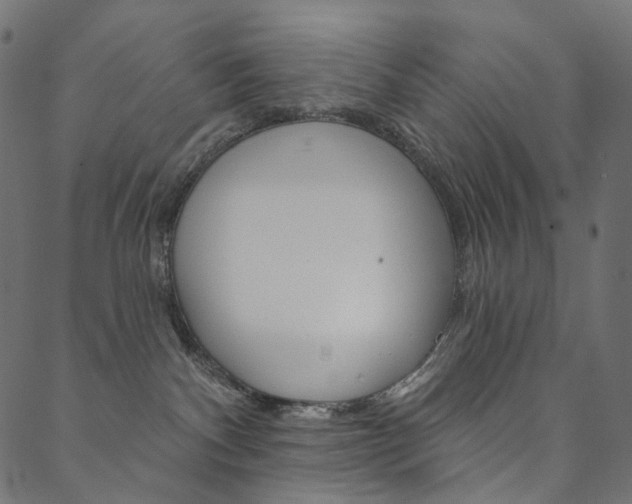 X0000088670140200705311008