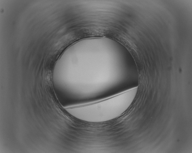 X0000088670141200705311008