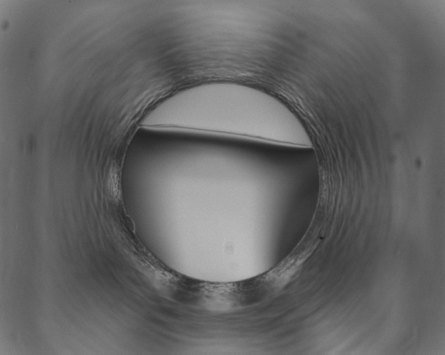 X0000088670143200705311008