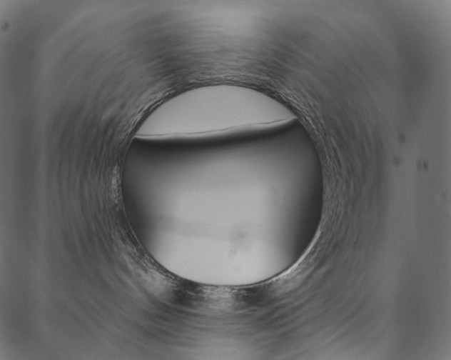 X0000088670144200705311008