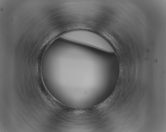 X0000088670158200705311007