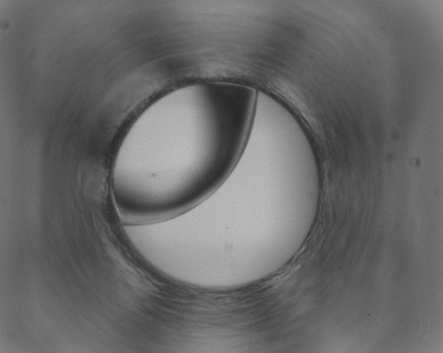 X0000088670164200705311007
