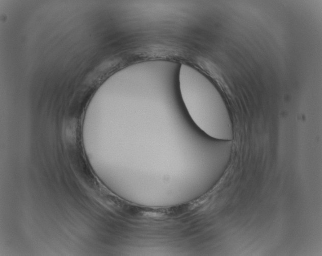 X0000088670167200705311008