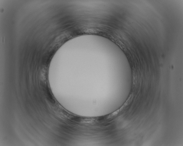 X0000088670175200705311008