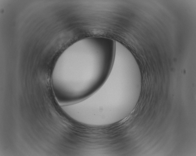X0000088670176200705311008