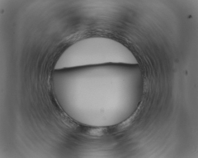X0000088670178200705311008