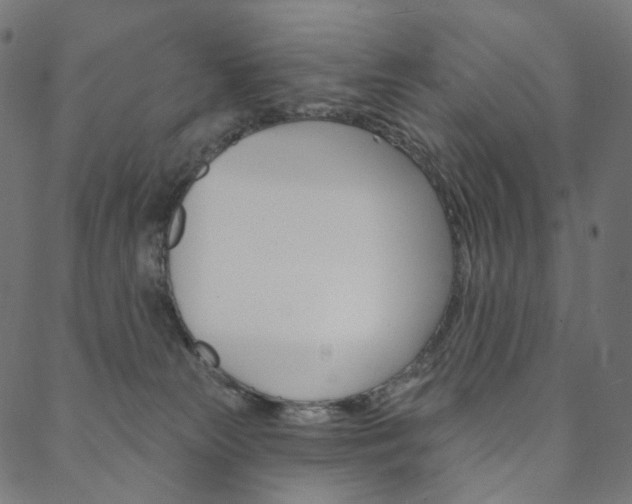 X0000088670181200705311008